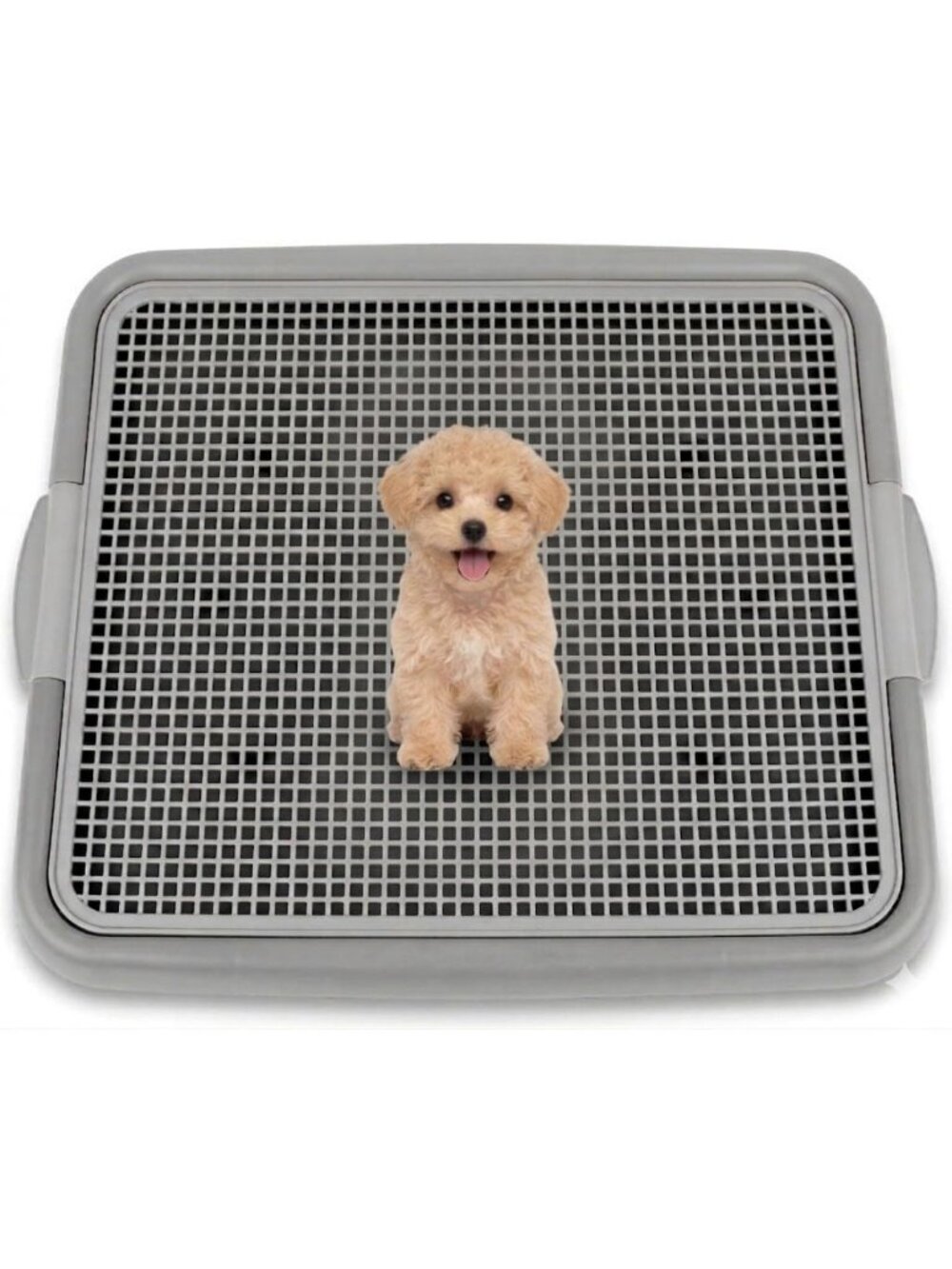 Puppy Potty Tray with Mesh - Leak-Proof Indoor Dog Toilet for Small Dogs - Picture 1 of 6
